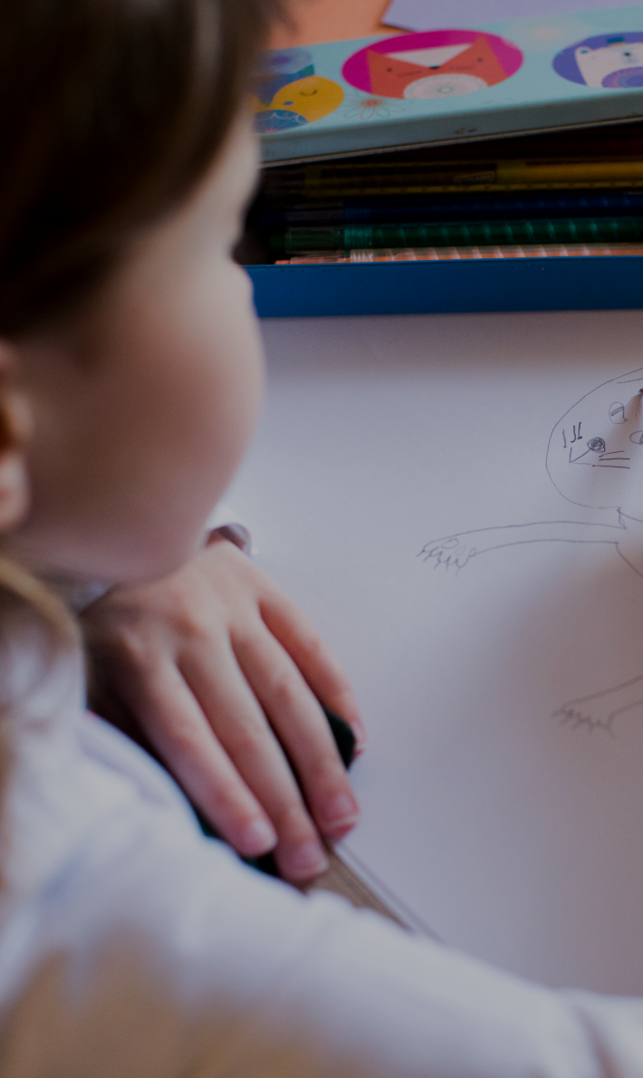 Primary and community groups